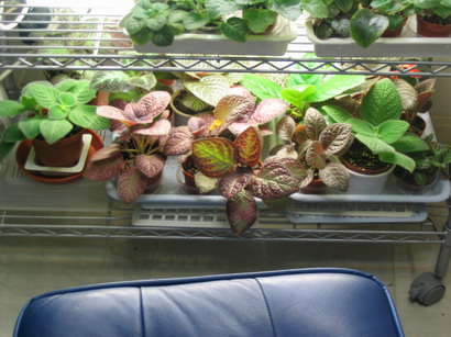 按此在新視窗瀏覽圖片