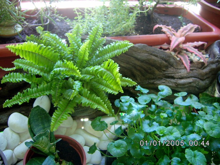 «ö¦¹¦b·sµøµ¡ÂsÄý¹Ï¤ù