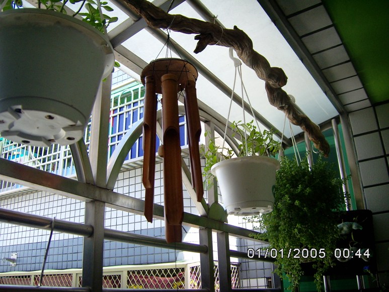 «ö¦¹¦b·sµøµ¡ÂsÄý¹Ï¤ù