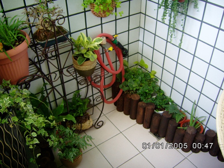 «ö¦¹¦b·sµøµ¡ÂsÄý¹Ï¤ù