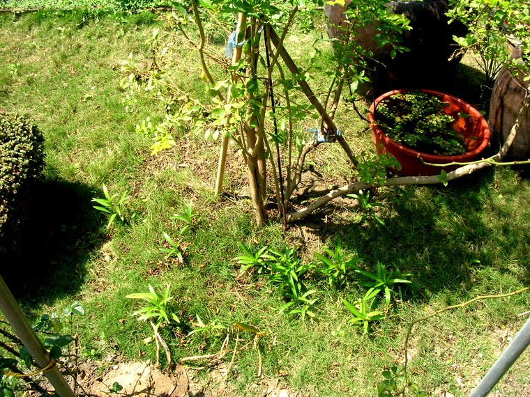 按此在新視窗瀏覽圖片