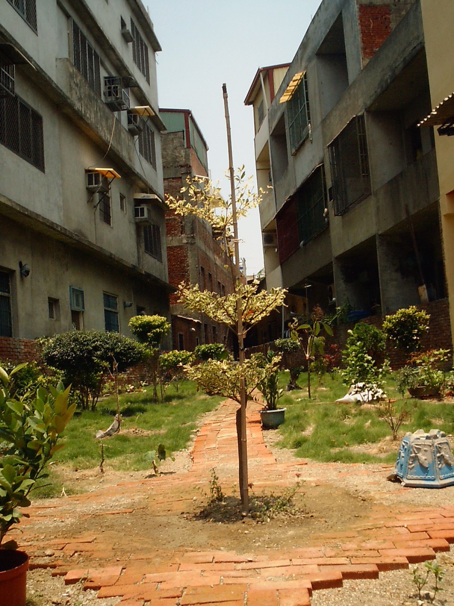 按此在新視窗瀏覽圖片