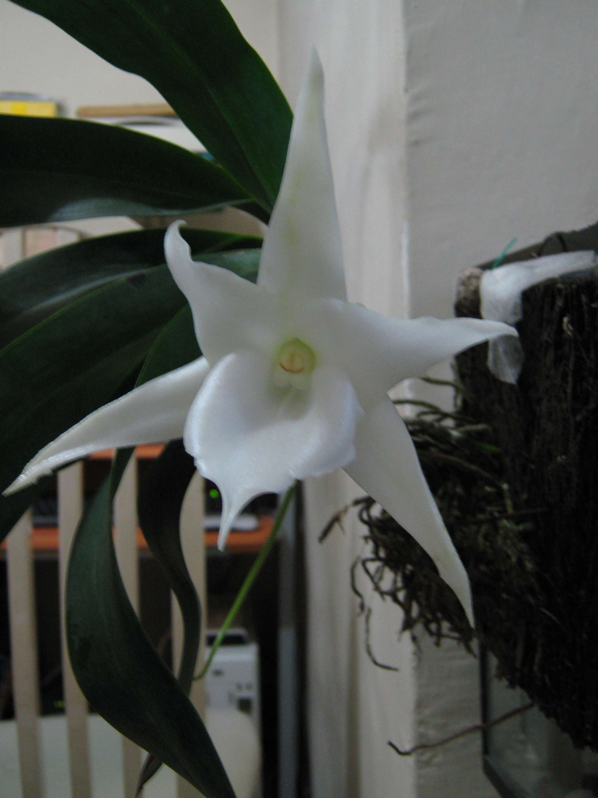 «ö¦¹¦b·sµøµ¡ÂsÄý¹Ï¤ù