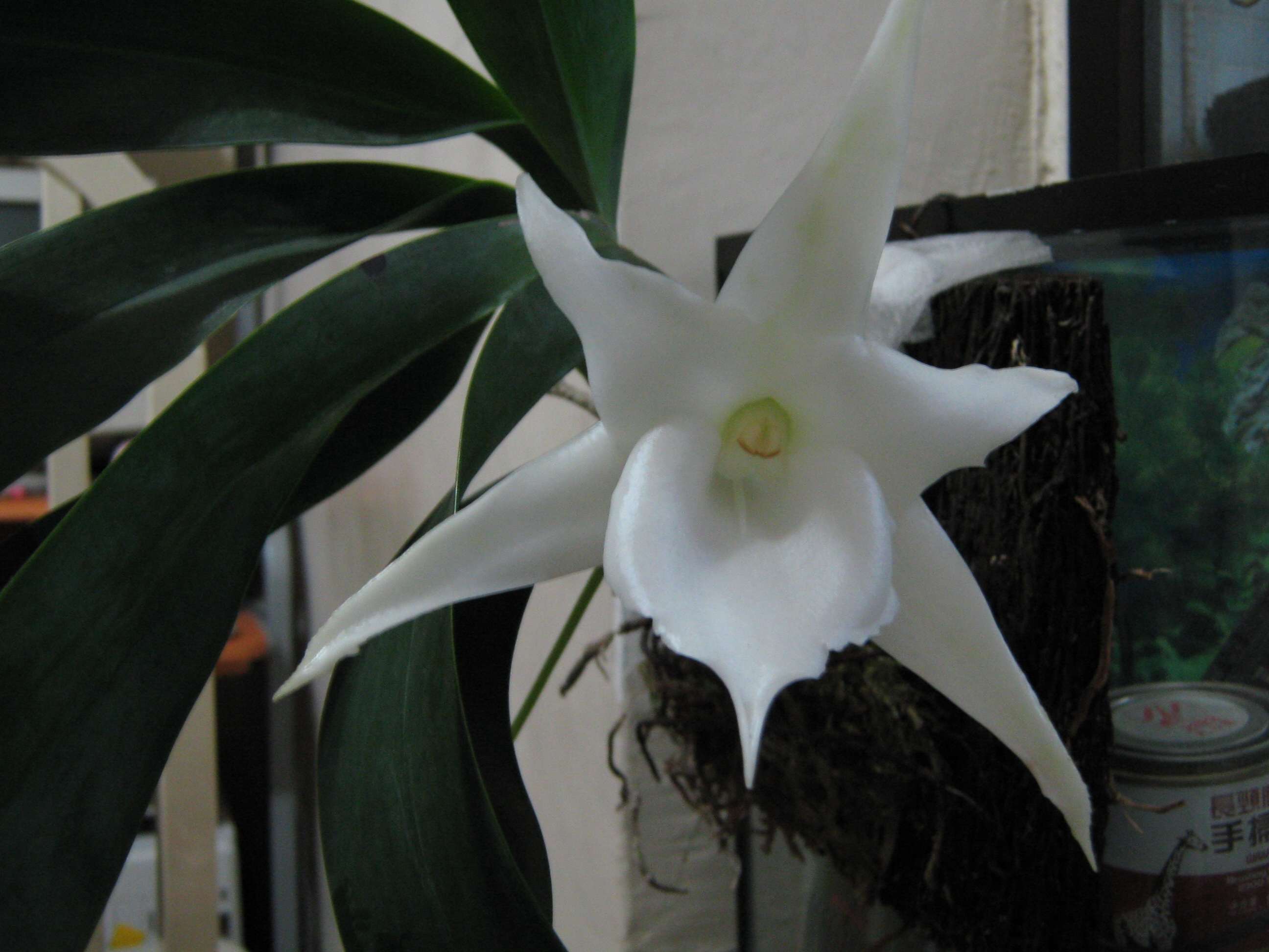 «ö¦¹¦b·sµøµ¡ÂsÄý¹Ï¤ù