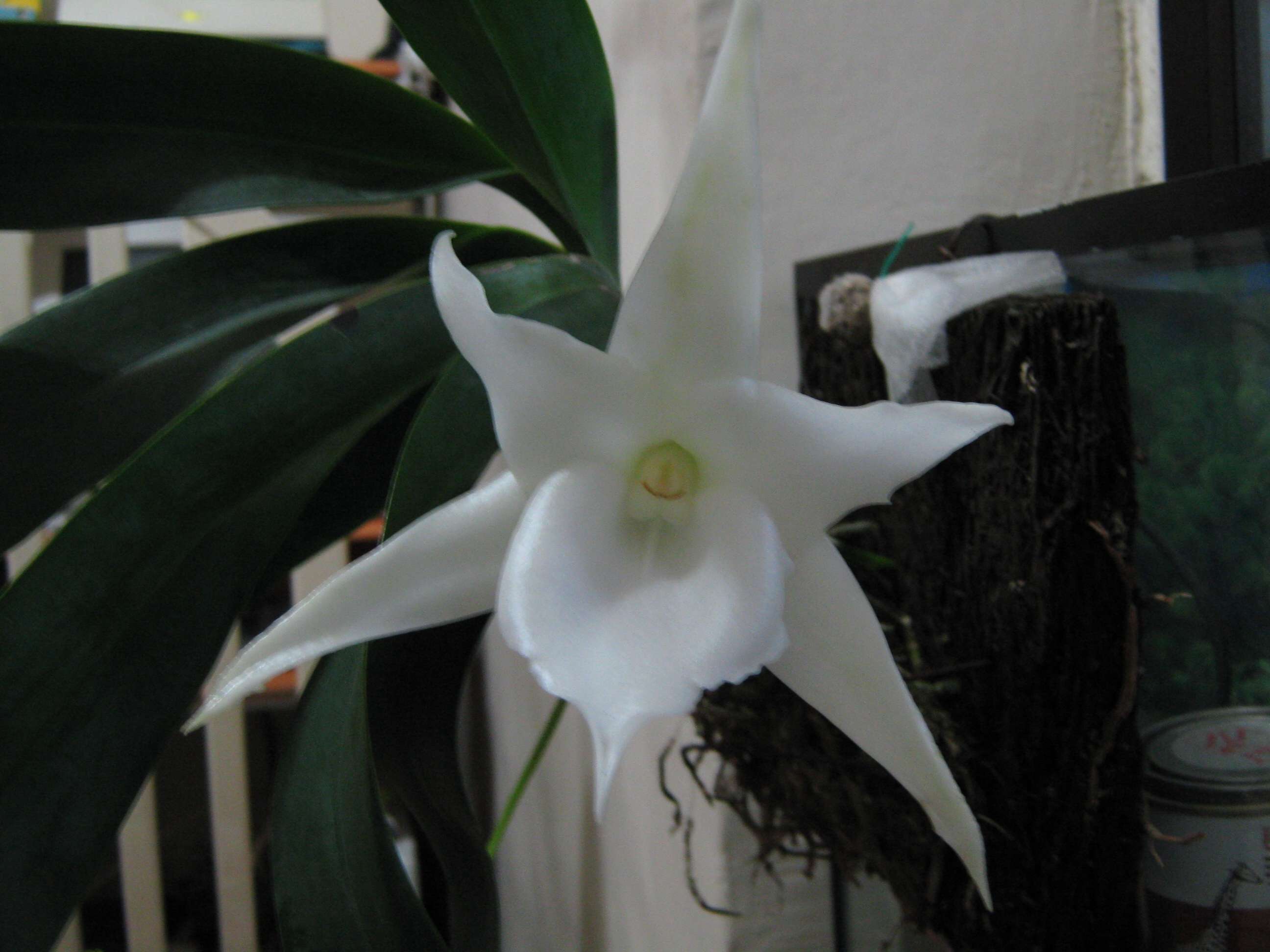 «ö¦¹¦b·sµøµ¡ÂsÄý¹Ï¤ù