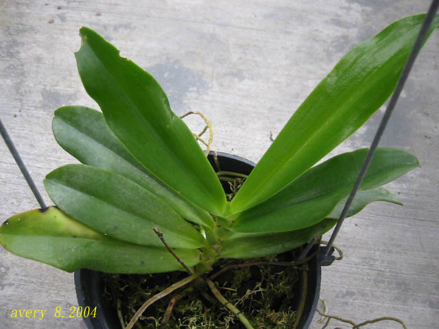 «ö¦¹¦b·sµøµ¡ÂsÄý¹Ï¤ù