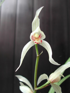 «ö¦¹¦b·sµøµ¡ÂsÄý¹Ï¤ù