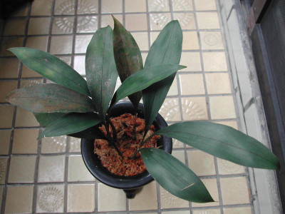 «ö¦¹¦b·sµøµ¡ÂsÄý¹Ï¤ù