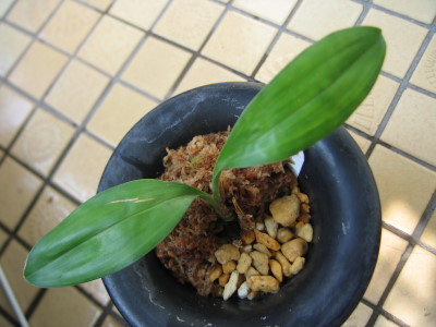 «ö¦¹¦b·sµøµ¡ÂsÄý¹Ï¤ù