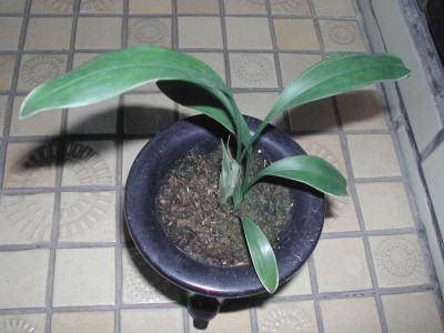 «ö¦¹¦b·sµøµ¡ÂsÄý¹Ï¤ù