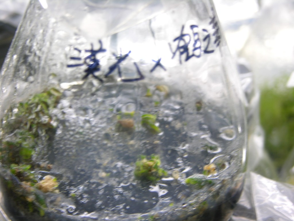 按此在新視窗瀏覽圖片
