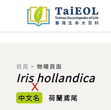 «ö¦¹¦b·sµøµ¡ÂsÄý¹Ï¤ù