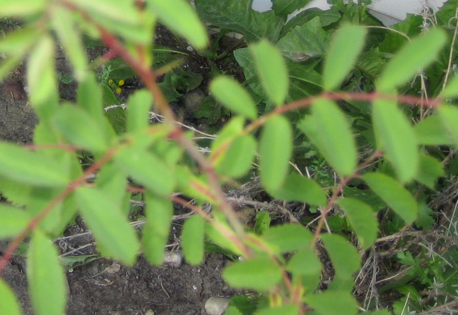 «ö¦¹¦b·sµøµ¡ÂsÄý¹Ï¤ù