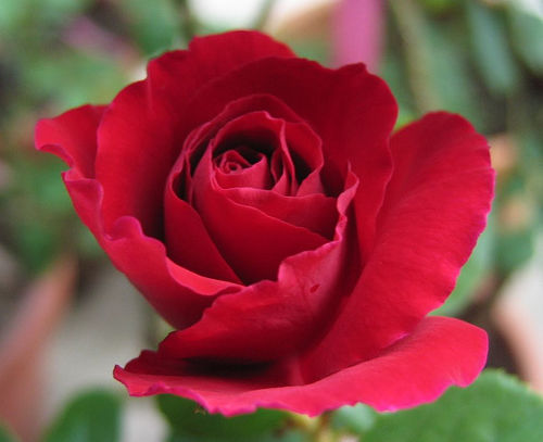 «ö¦¹¦b·sµøµ¡ÂsÄý¹Ï¤ù