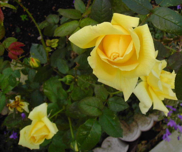 «ö¦¹¦b·sµøµ¡ÂsÄý¹Ï¤ù