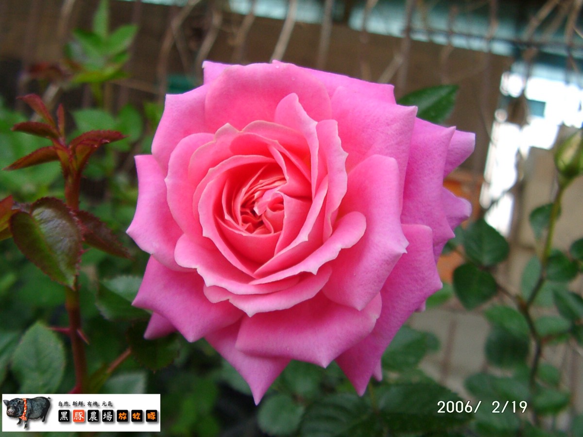 «ö¦¹¦b·sµøµ¡ÂsÄý¹Ï¤ù