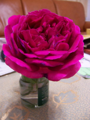 «ö¦¹¦b·sµøµ¡ÂsÄý¹Ï¤ù