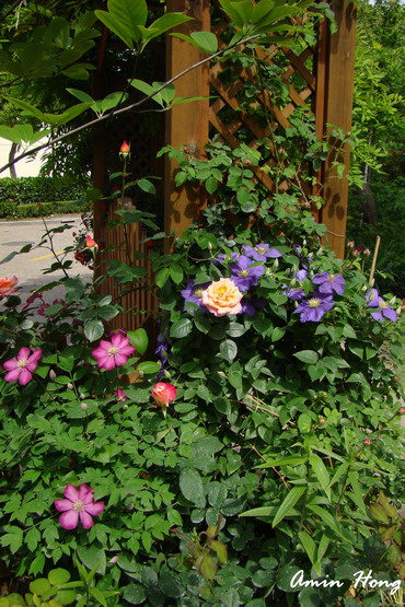 «ö¦¹¦b·sµøµ¡ÂsÄý¹Ï¤ù