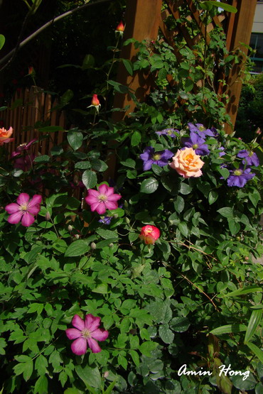 «ö¦¹¦b·sµøµ¡ÂsÄý¹Ï¤ù