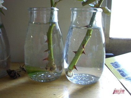 «ö¦¹¦b·sµøµ¡ÂsÄý¹Ï¤ù