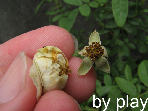 «ö¦¹¦b·sµøµ¡ÂsÄý¹Ï¤ù