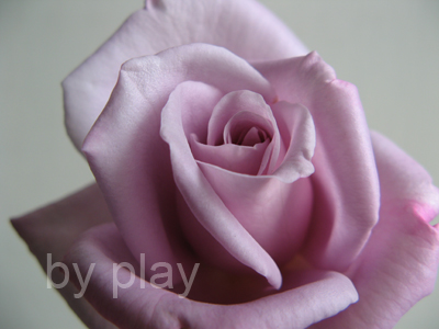 «ö¦¹¦b·sµøµ¡ÂsÄý¹Ï¤ù