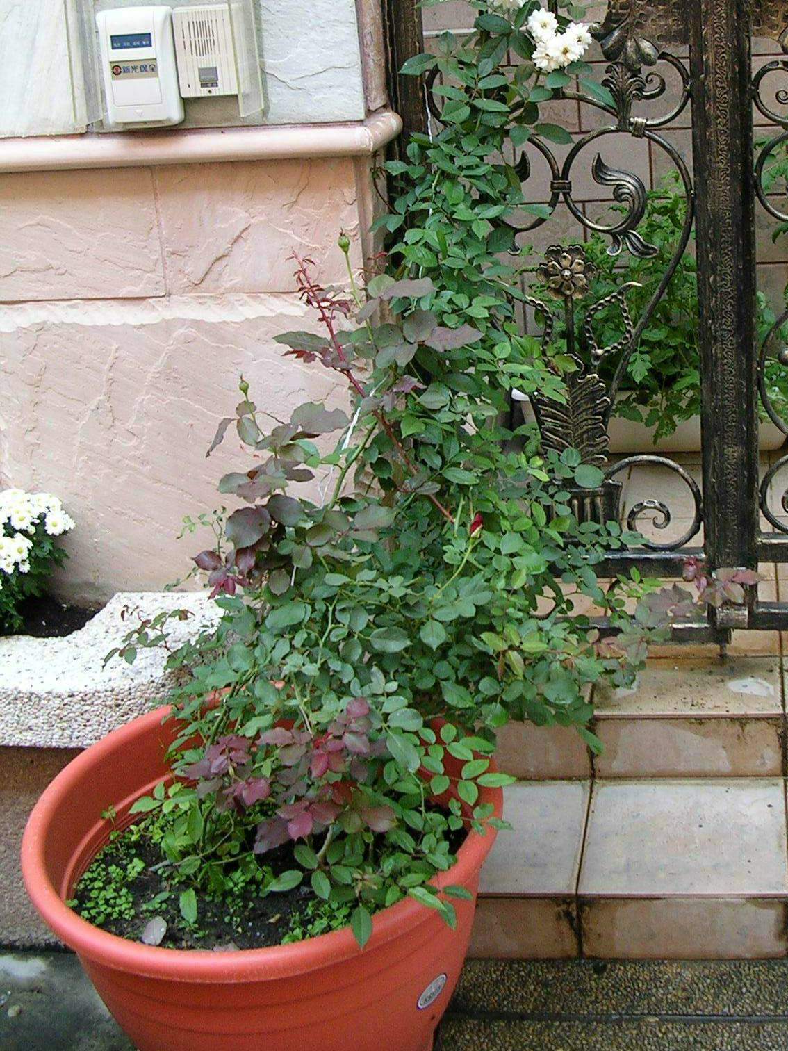 «ö¦¹¦b·sµøµ¡ÂsÄý¹Ï¤ù