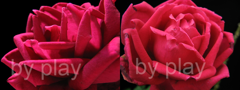 «ö¦¹¦b·sµøµ¡ÂsÄý¹Ï¤ù