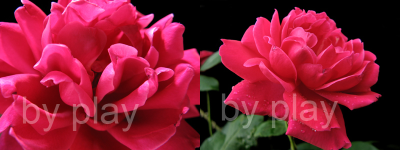 «ö¦¹¦b·sµøµ¡ÂsÄý¹Ï¤ù