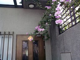 按此在新視窗瀏覽圖片