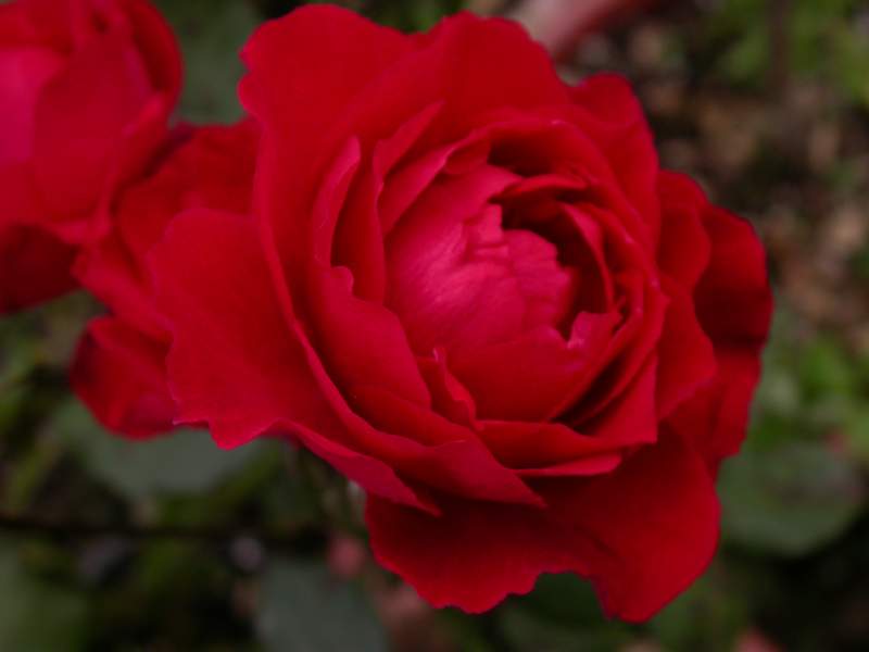 «ö¦¹¦b·sµøµ¡ÂsÄý¹Ï¤ù