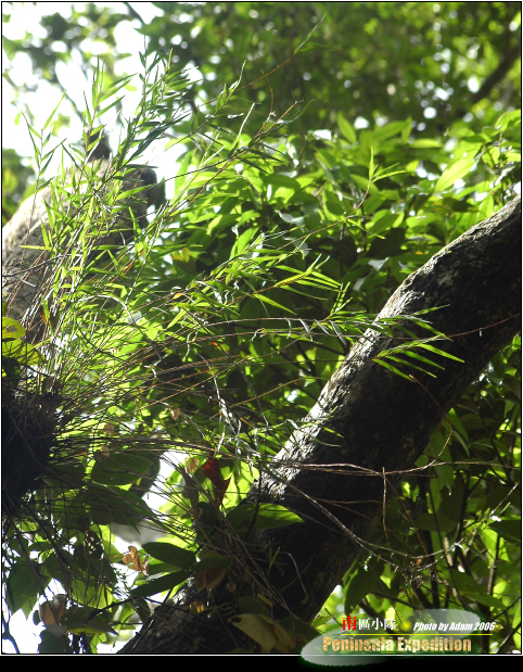 按此在新視窗瀏覽圖片