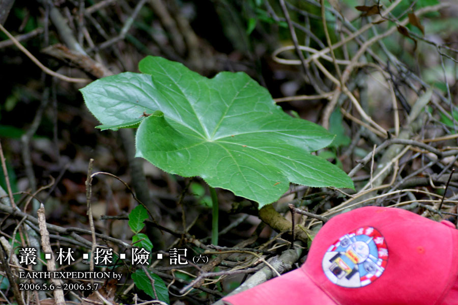 按此在新視窗瀏覽圖片