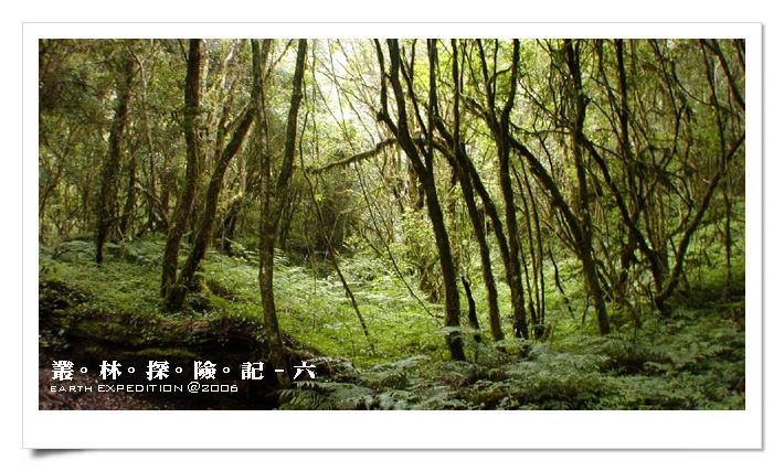 按此在新視窗瀏覽圖片