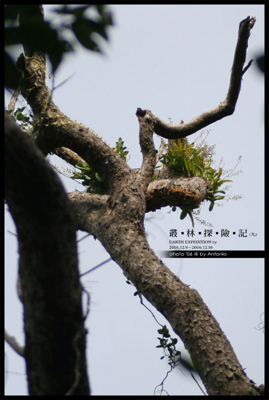 按此在新視窗瀏覽圖片