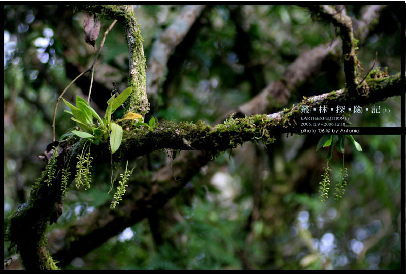 按此在新視窗瀏覽圖片