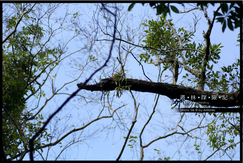 按此在新視窗瀏覽圖片