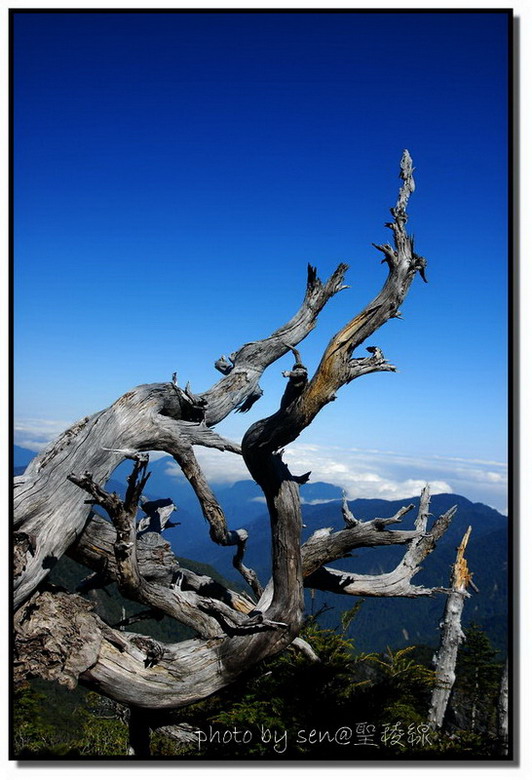 按此在新視窗瀏覽圖片