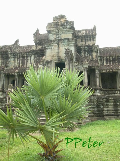 «ö¦¹¦b·sµøµ¡ÂsÄý¹Ï¤ù