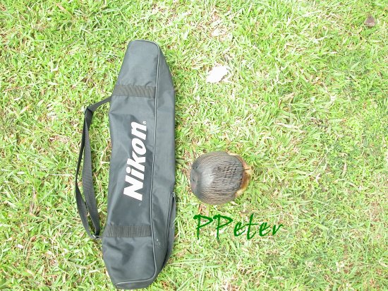 «ö¦¹¦b·sµøµ¡ÂsÄý¹Ï¤ù