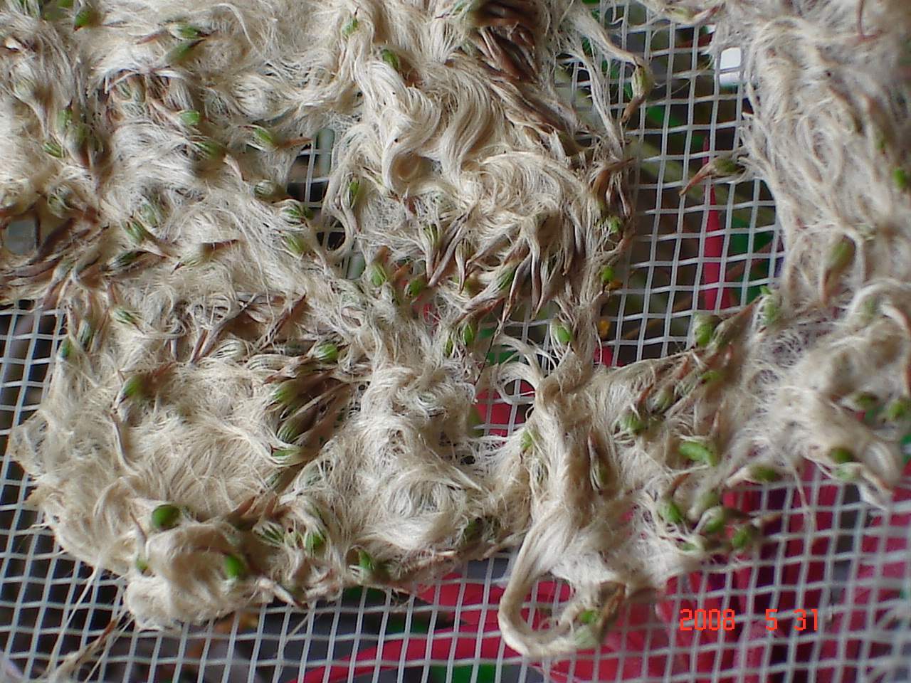 «ö¦¹¦b·sµøµ¡ÂsÄý¹Ï¤ù