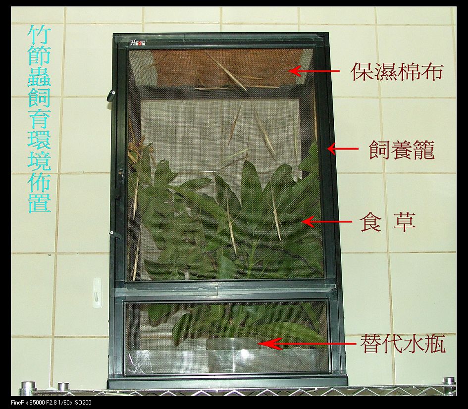 «ö¦¹¦b·sµøµ¡ÂsÄý¹Ï¤ù