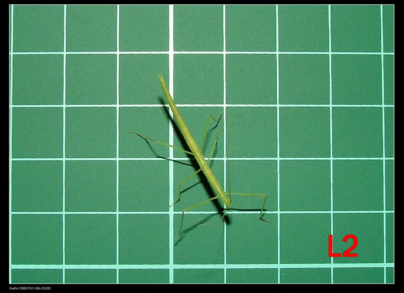 «ö¦¹¦b·sµøµ¡ÂsÄý¹Ï¤ù