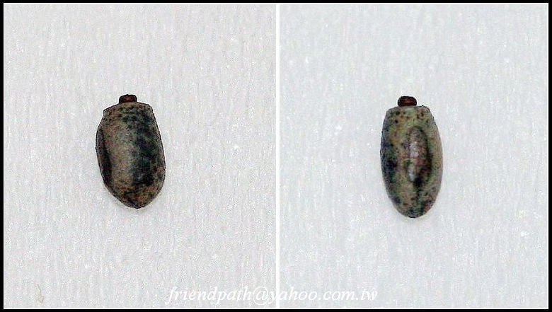 «ö¦¹¦b·sµøµ¡ÂsÄý¹Ï¤ù