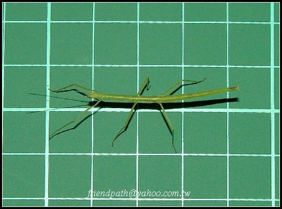 «ö¦¹¦b·sµøµ¡ÂsÄý¹Ï¤ù