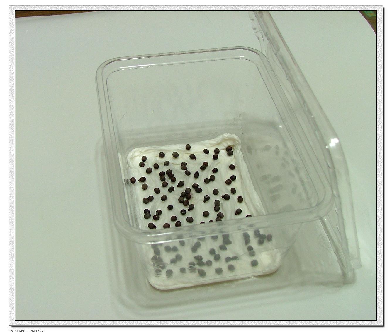 «ö¦¹¦b·sµøµ¡ÂsÄý¹Ï¤ù