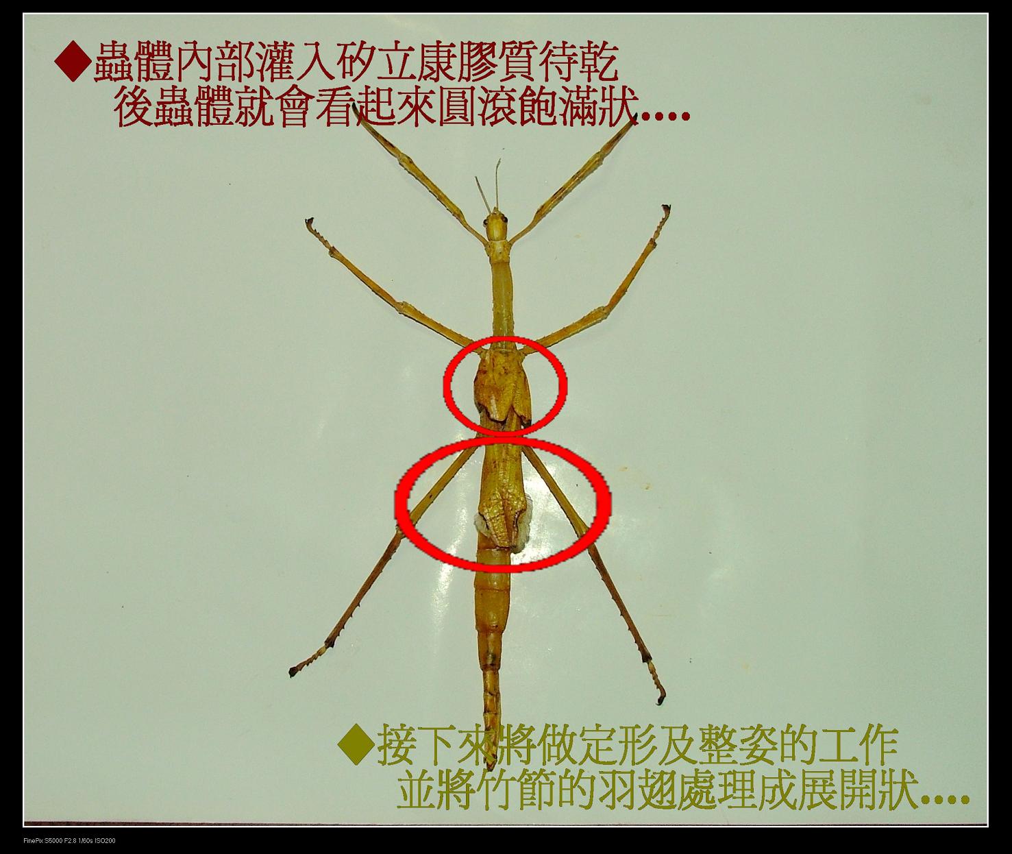 «ö¦¹¦b·sµøµ¡ÂsÄý¹Ï¤ù