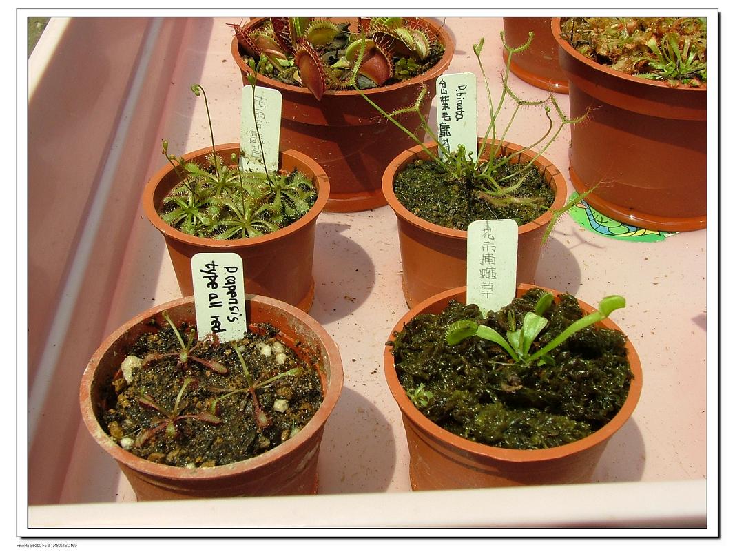 «ö¦¹¦b·sµøµ¡ÂsÄý¹Ï¤ù