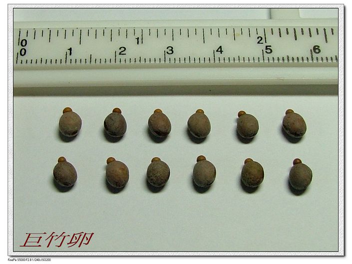 «ö¦¹¦b·sµøµ¡ÂsÄý¹Ï¤ù