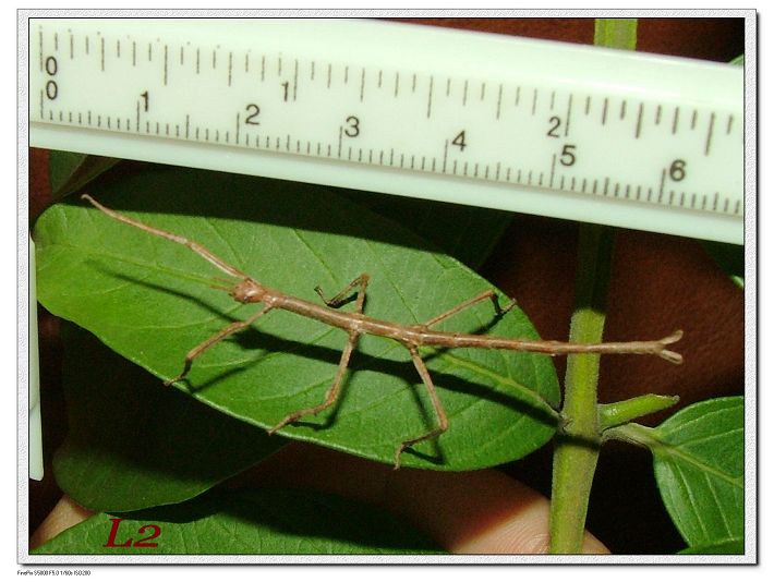 «ö¦¹¦b·sµøµ¡ÂsÄý¹Ï¤ù